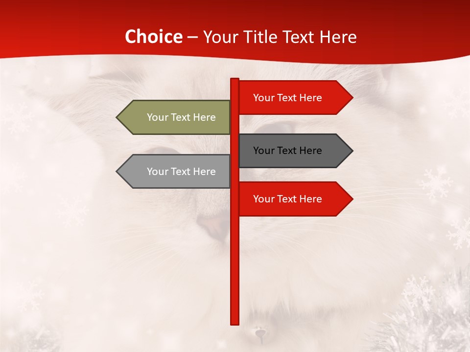 Balls Fluffy Feline PowerPoint Template