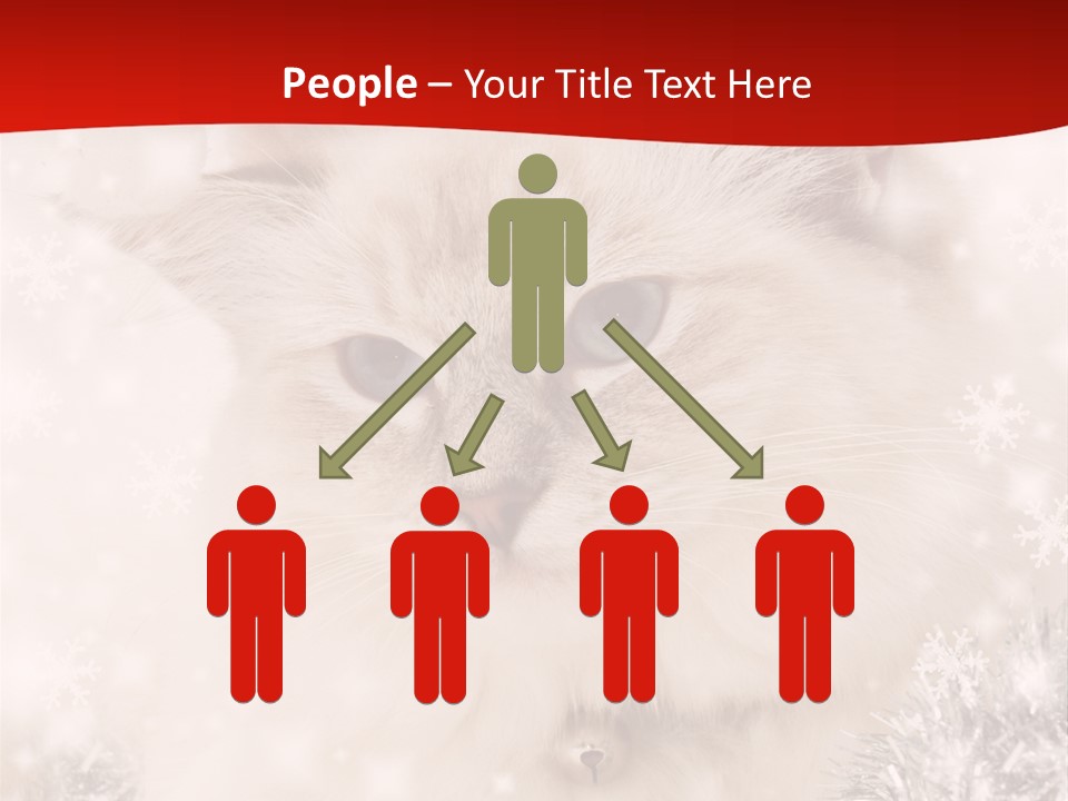 Balls Fluffy Feline PowerPoint Template