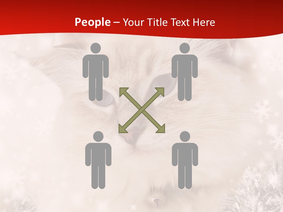Balls Fluffy Feline PowerPoint Template