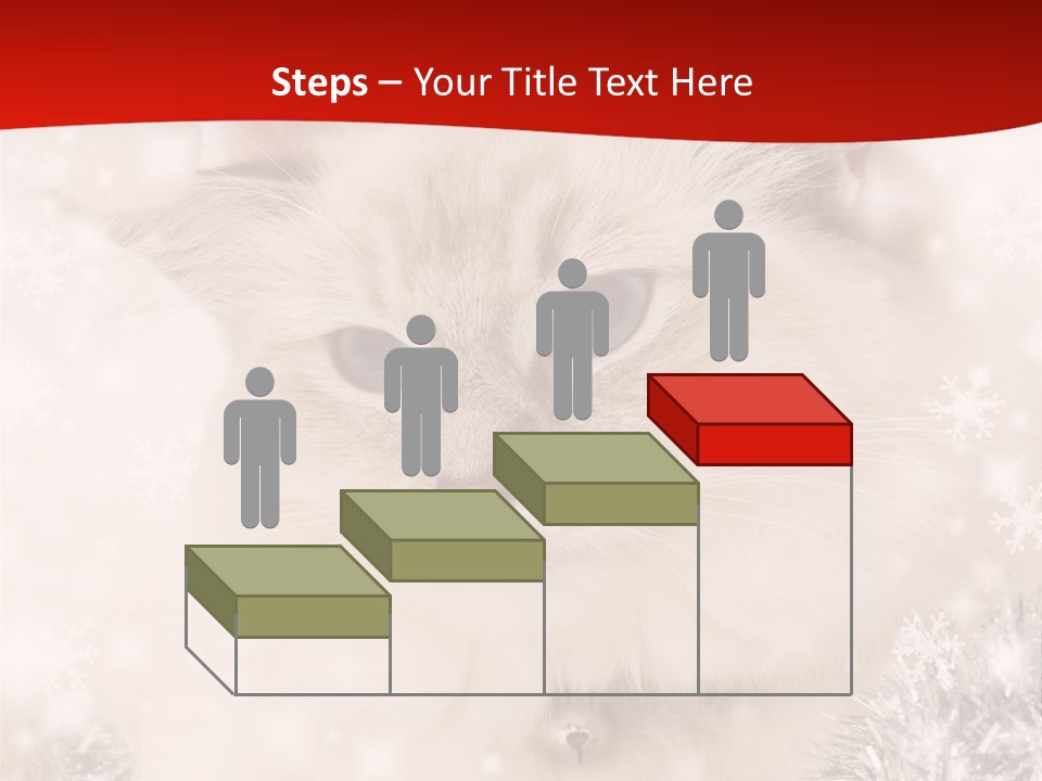 Balls Fluffy Feline PowerPoint Template