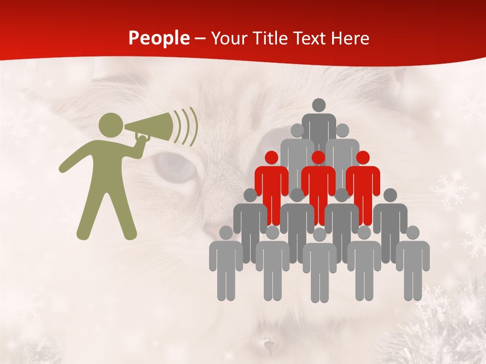 Balls Fluffy Feline PowerPoint Template