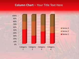 Glow Night Arrangement PowerPoint Template