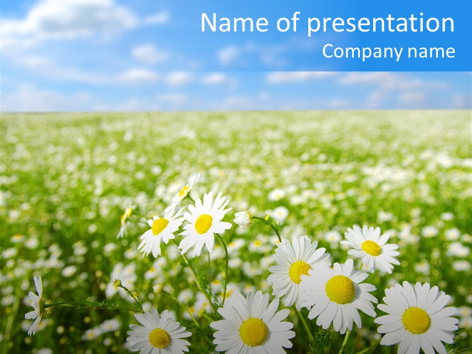 Meadow Outdoor Floral PowerPoint Template