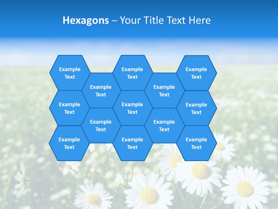 Meadow Outdoor Floral PowerPoint Template