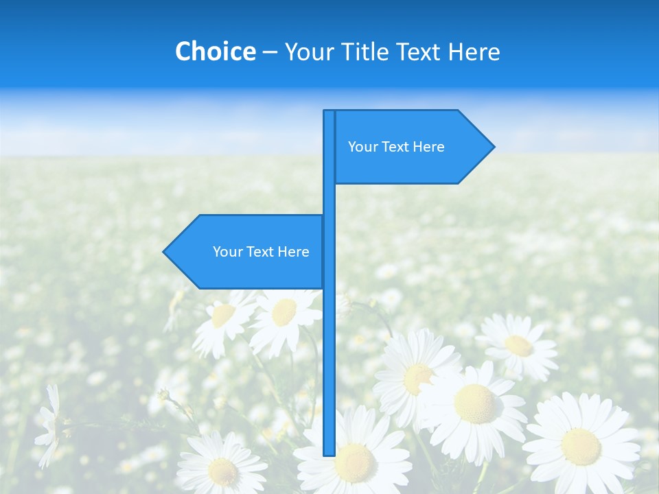 Meadow Outdoor Floral PowerPoint Template