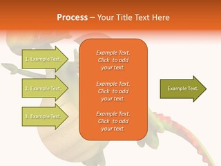 Chinese Illustration Character PowerPoint Template