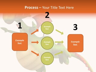 Chinese Illustration Character PowerPoint Template