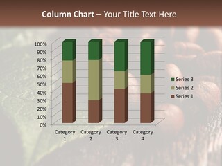 Leaf Powerful Africa PowerPoint Template