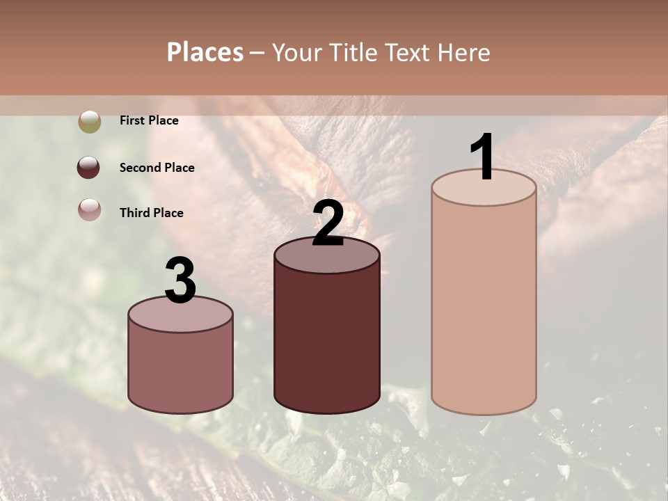 Farming Wood Morning PowerPoint Template