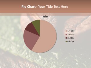 Farming Wood Morning PowerPoint Template