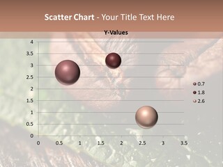 Farming Wood Morning PowerPoint Template