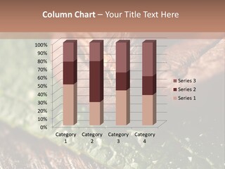 Farming Wood Morning PowerPoint Template