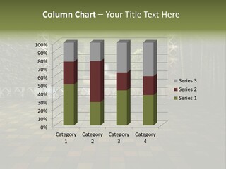 Room Path Summer PowerPoint Template