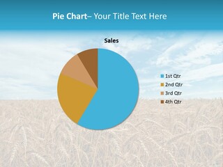 Colour Background Sunlight PowerPoint Template