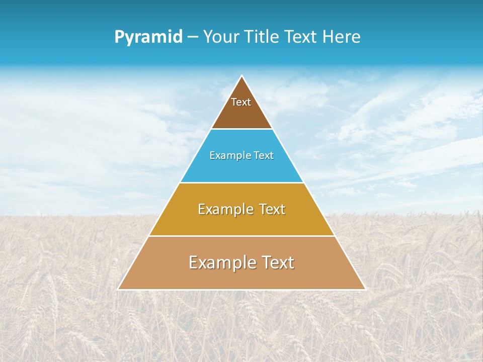 Colour Background Sunlight PowerPoint Template
