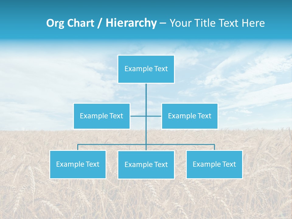 Colour Background Sunlight PowerPoint Template