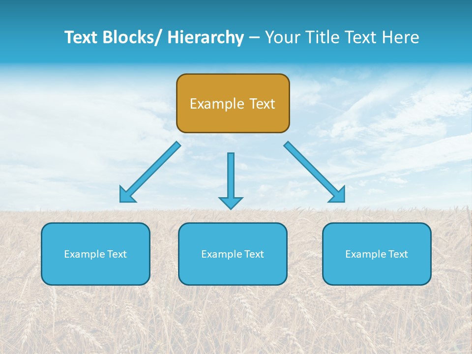Colour Background Sunlight PowerPoint Template