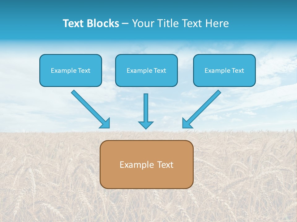 Colour Background Sunlight PowerPoint Template