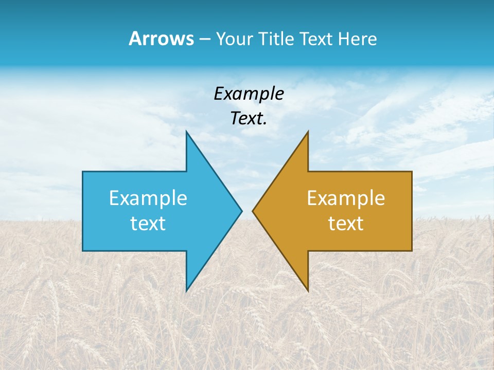 Colour Background Sunlight PowerPoint Template