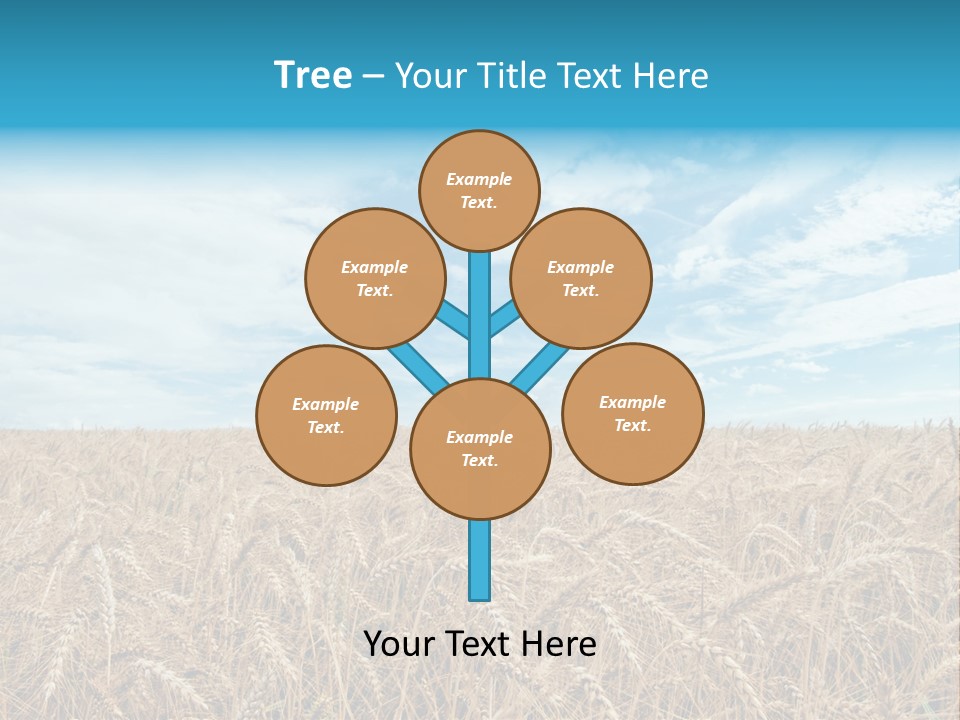 Colour Background Sunlight PowerPoint Template