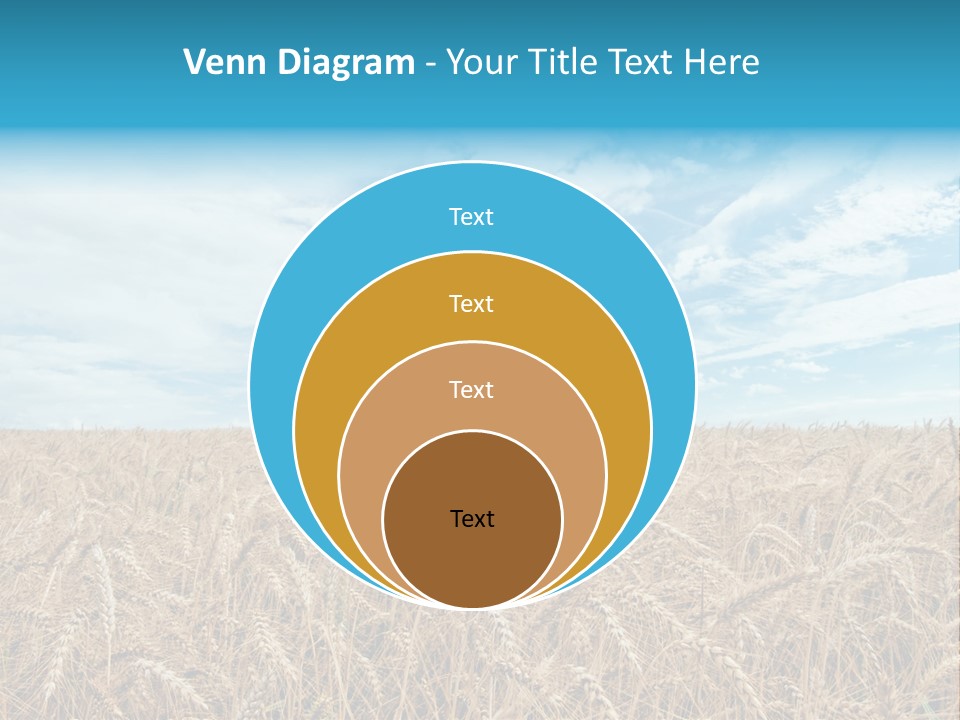 Colour Background Sunlight PowerPoint Template