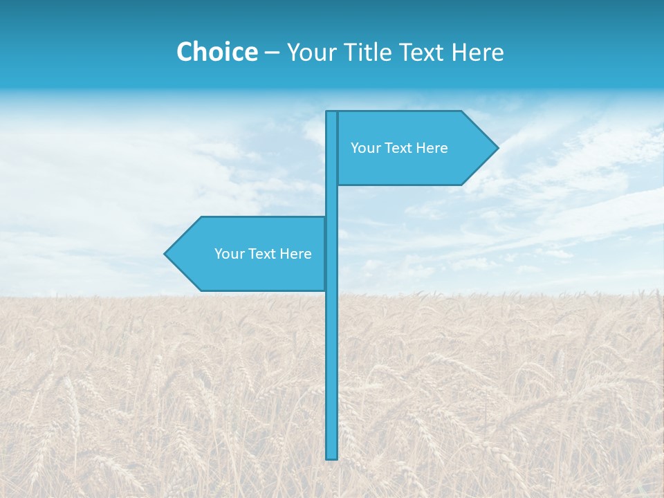 Colour Background Sunlight PowerPoint Template