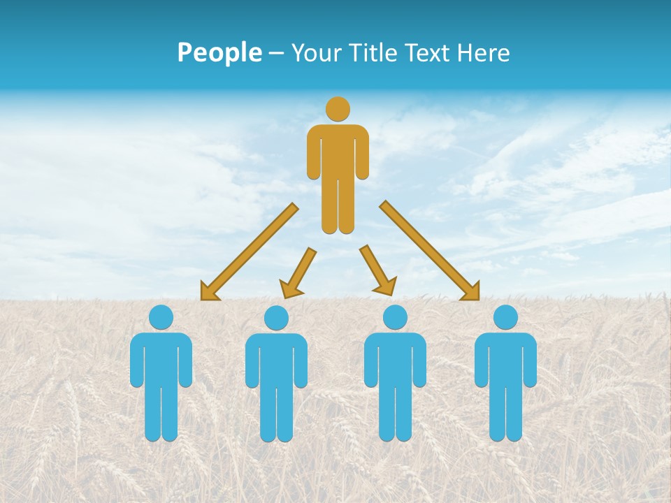 Colour Background Sunlight PowerPoint Template