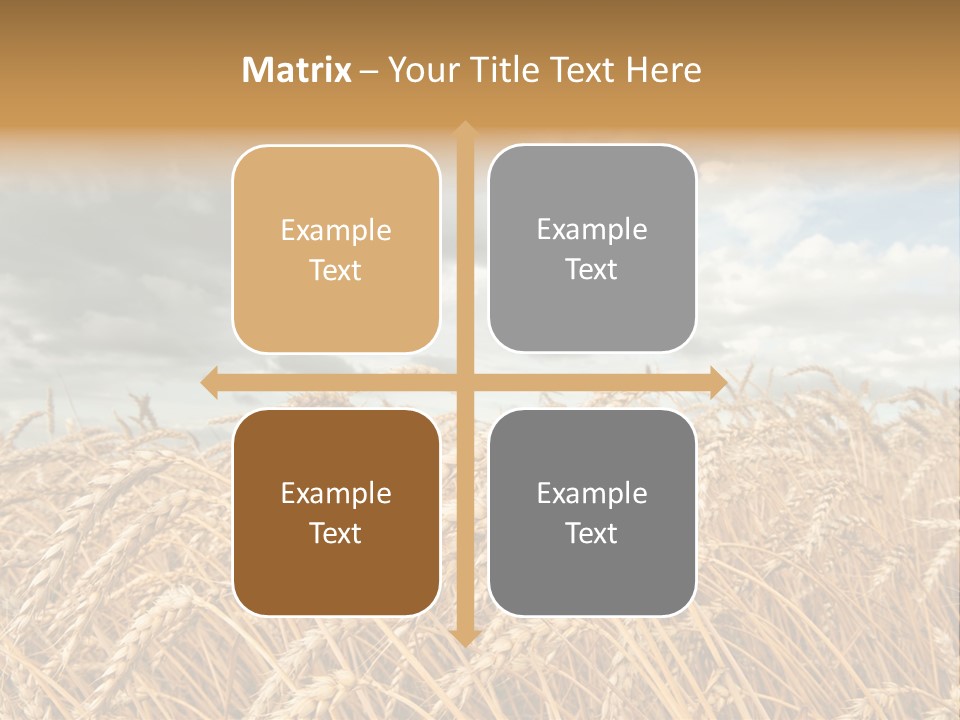 Farm Summer Barn PowerPoint Template