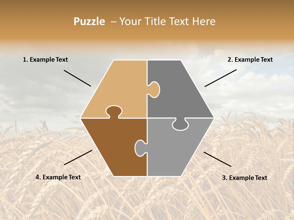 Farm Summer Barn PowerPoint Template