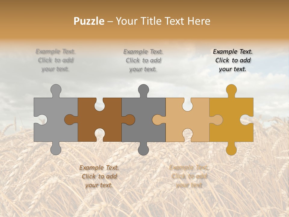 Farm Summer Barn PowerPoint Template