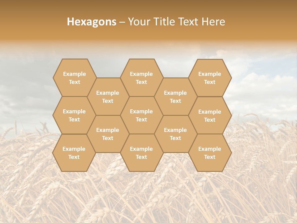 Farm Summer Barn PowerPoint Template