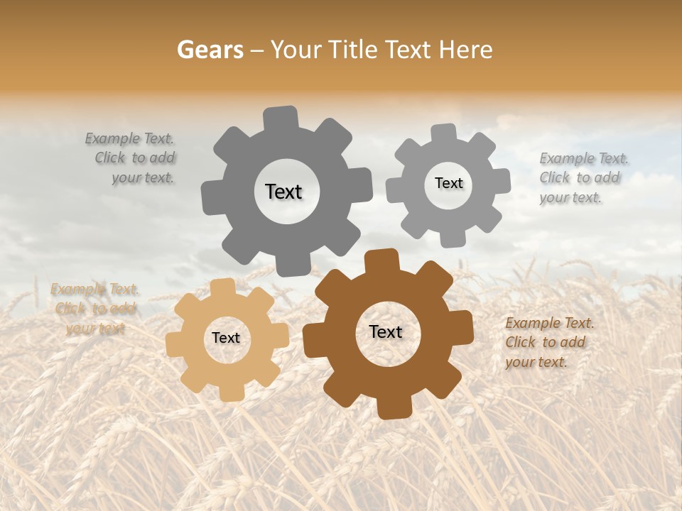 Farm Summer Barn PowerPoint Template