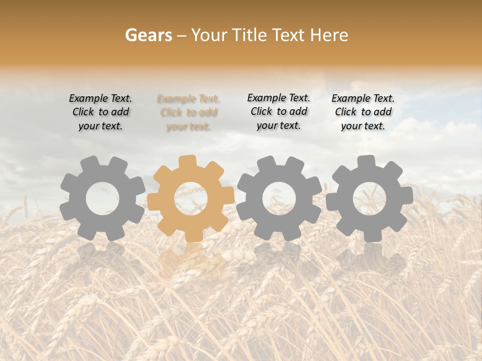 Farm Summer Barn PowerPoint Template