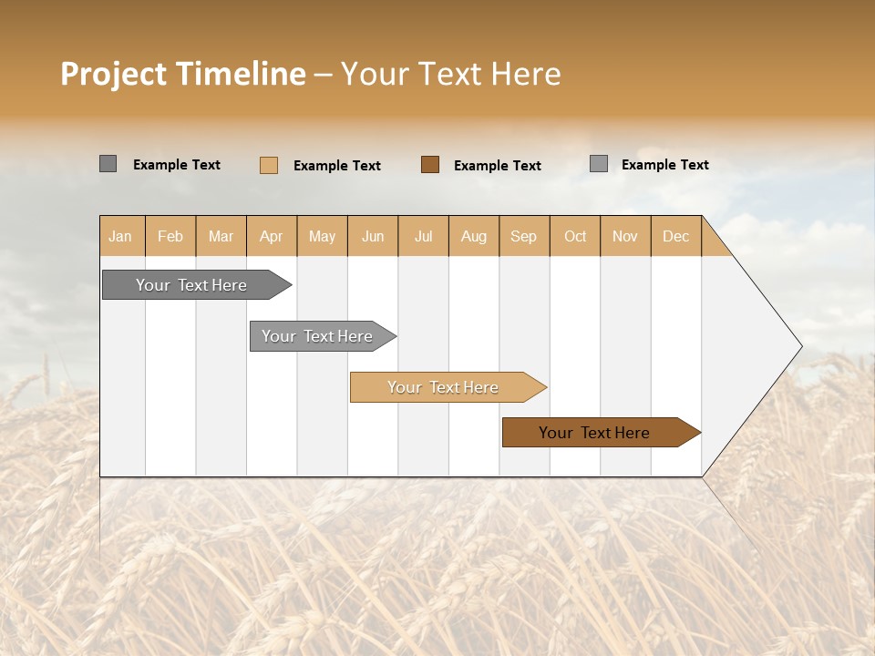 Farm Summer Barn PowerPoint Template