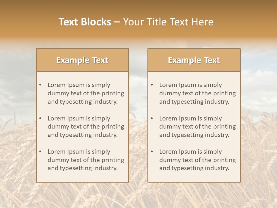 Farm Summer Barn PowerPoint Template