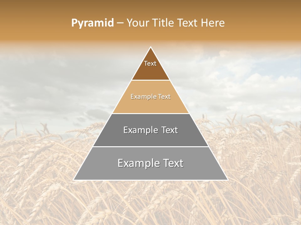 Farm Summer Barn PowerPoint Template