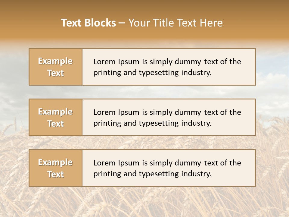 Farm Summer Barn PowerPoint Template