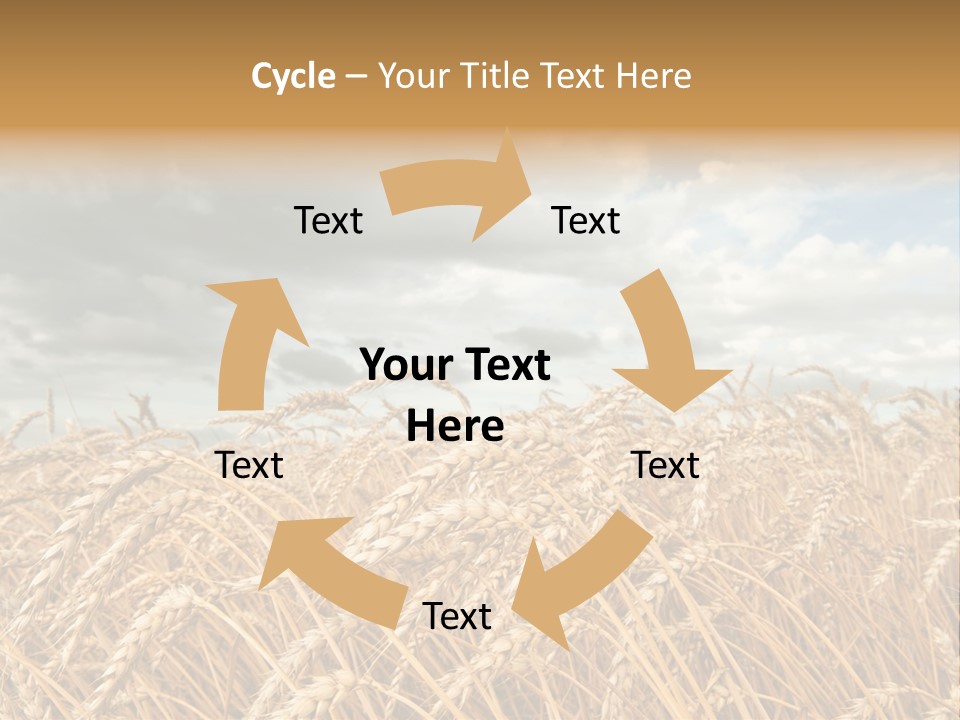 Farm Summer Barn PowerPoint Template