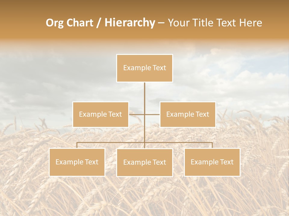 Farm Summer Barn PowerPoint Template