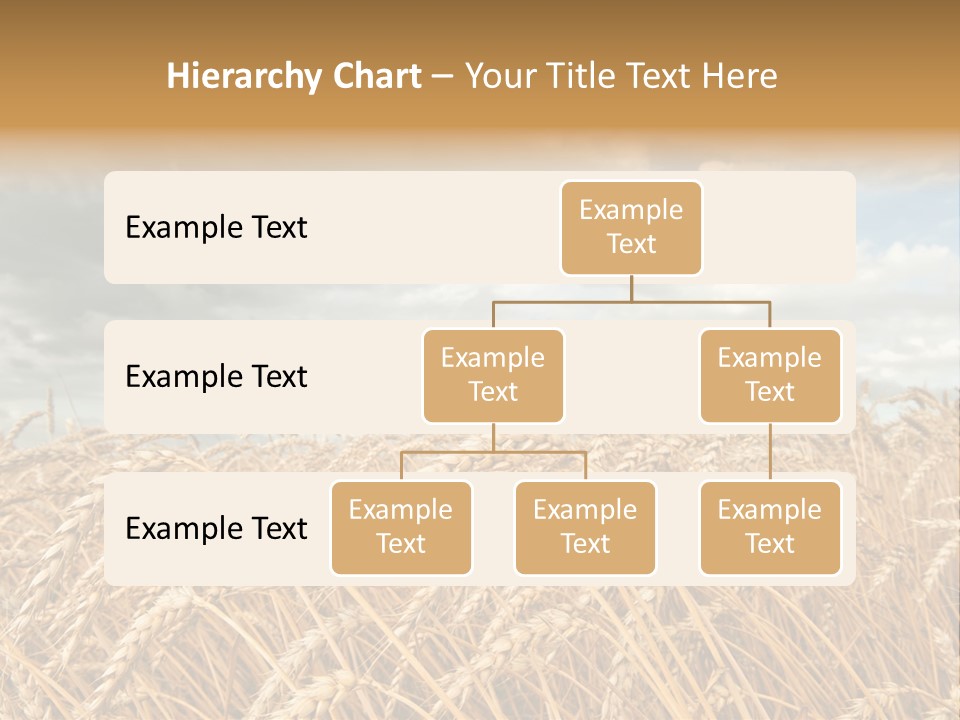 Farm Summer Barn PowerPoint Template