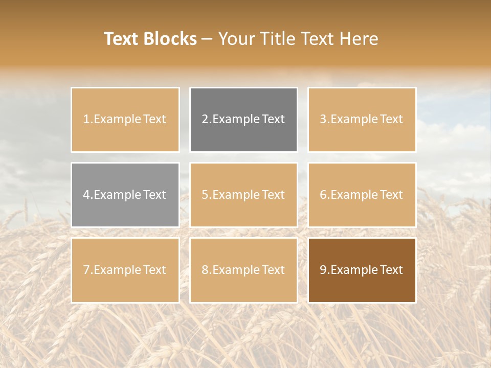 Farm Summer Barn PowerPoint Template