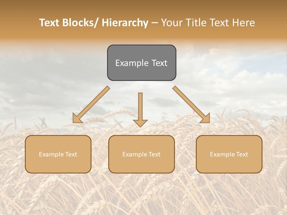 Farm Summer Barn PowerPoint Template