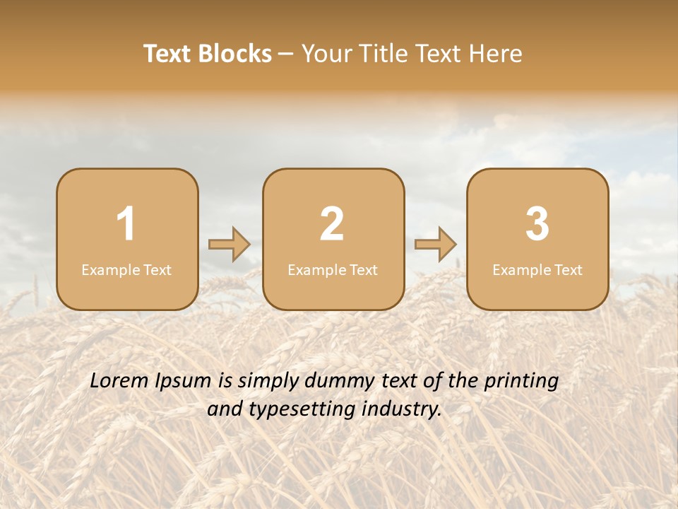 Farm Summer Barn PowerPoint Template