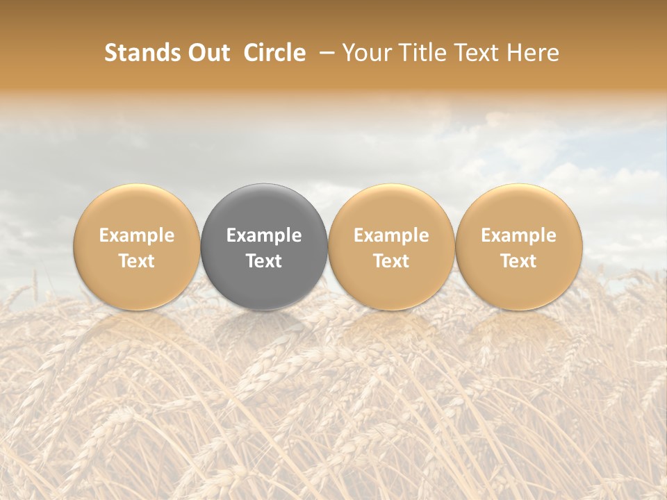 Farm Summer Barn PowerPoint Template