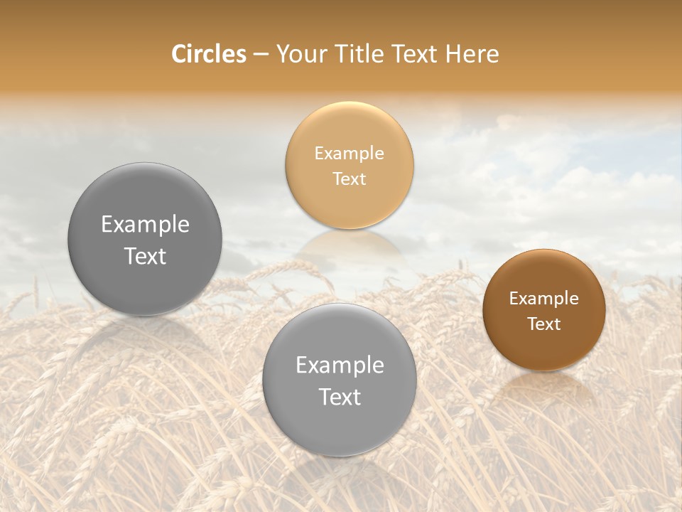 Farm Summer Barn PowerPoint Template