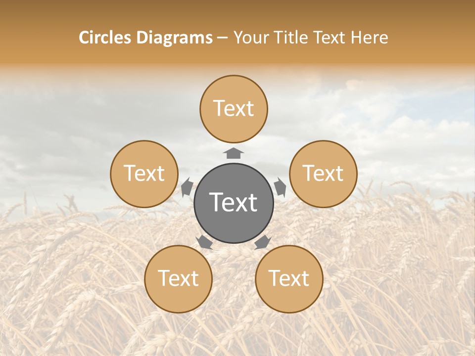 Farm Summer Barn PowerPoint Template