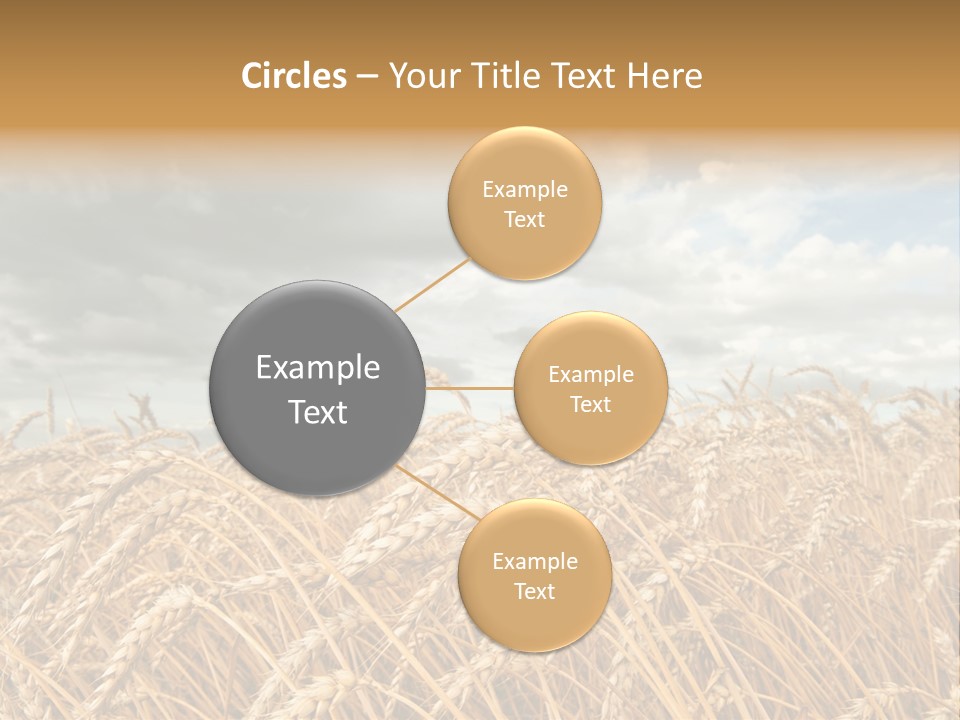 Farm Summer Barn PowerPoint Template