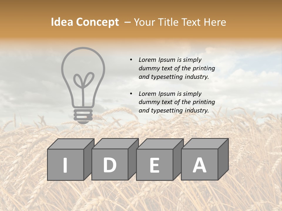 Farm Summer Barn PowerPoint Template