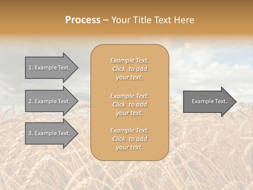 Farm Summer Barn PowerPoint Template