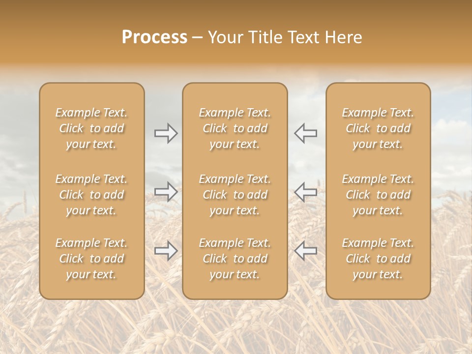 Farm Summer Barn PowerPoint Template